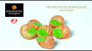 Dégustation À Laveugle Descargots De Bourgogne Gourmets De France N44