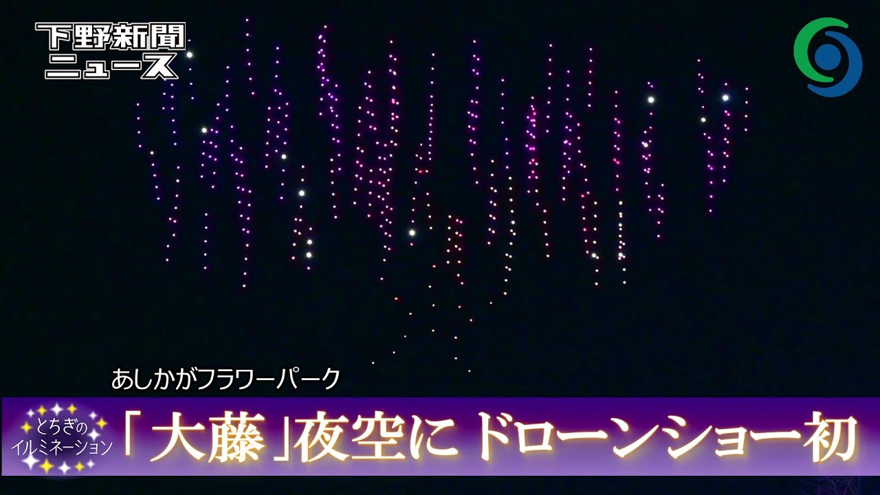｢大藤｣冬の夜空に満開 ドローンショー初開催 あしかがフラワーパーク 足利 【とちぎのイルミネーション2025】