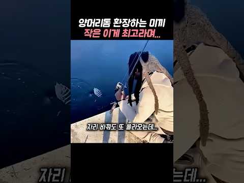 작은 게 하나 딱 물려놓고, 찌도 없이 던졌더니, 자리를 옮겨도 똑같이… thumbnail