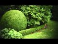 Some shots in my garden with JAG35 ST