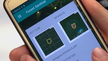 Award winning mobile app to combat illegal logging - University of Leicester