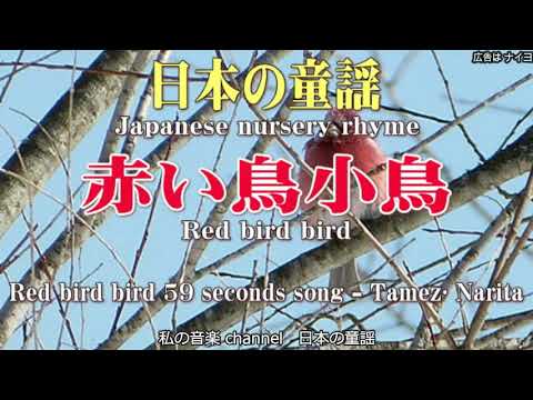 【和風 音楽 日本の童謡】赤い鳥小鳥