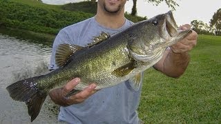 Bass Fishing (Florida Golf Course Pond) PART 1