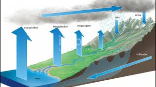 Water Cycle: process of water forming #biology #science