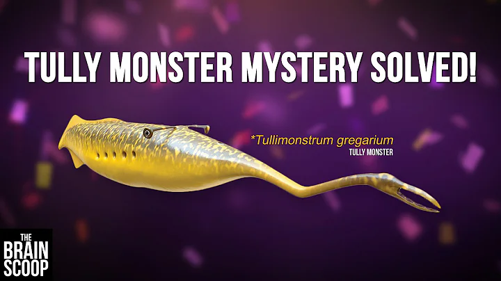 Tully monster mystery SOLVED!