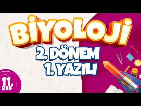 11. Sınıf 2. Dönem 1 Yazılı Hazırlık | Biyoloji