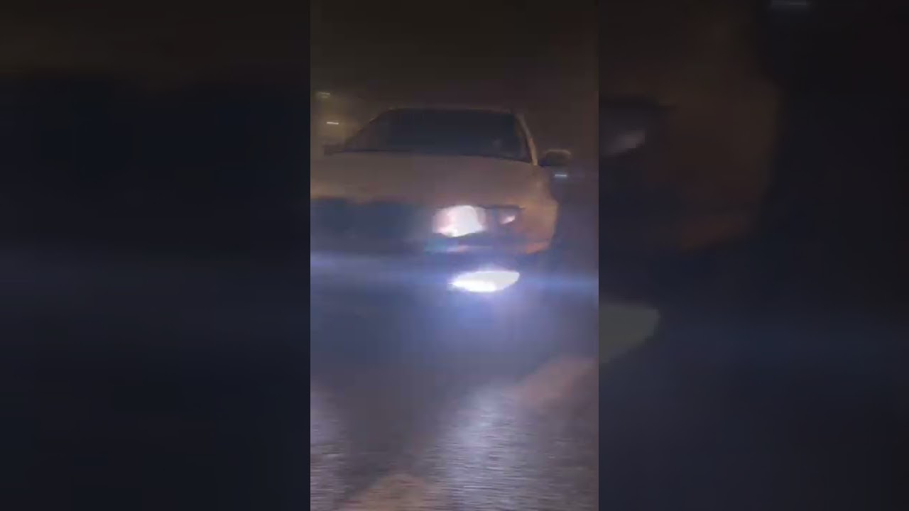 Садись, едем! 