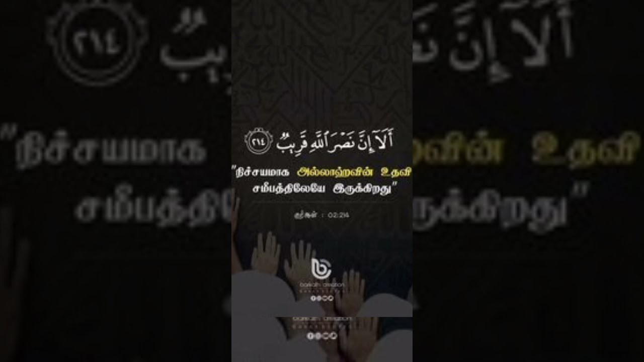 Best Quran Quote Tamil  Islamic status video  love of Allah  Islamic  short  shorts 