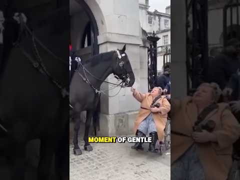 لطف غير متوقع في منتصف الواجب