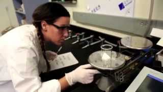 Interested in Mental Health? Watch Krista Content