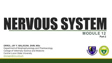 Nervous System (Part 2)
