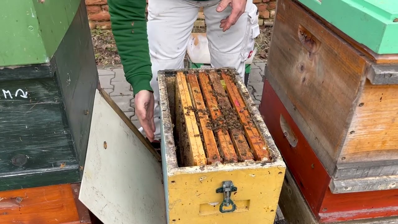 37/26 Tak vypouštíme M a uteplujeme na plno i samozřejmě ODD = P1 25.2.26 2/2