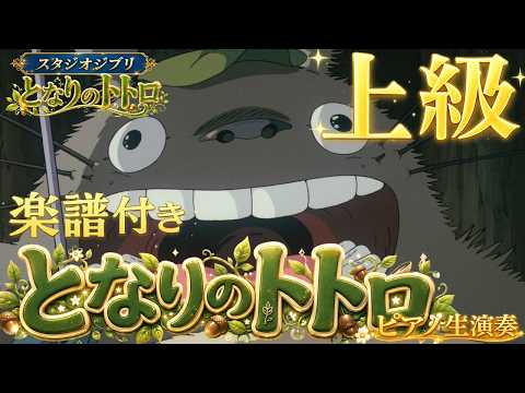 My Neighbor Totoro ([My Neighbor Totoro] Advanced Piano) - Joe Hisaishi