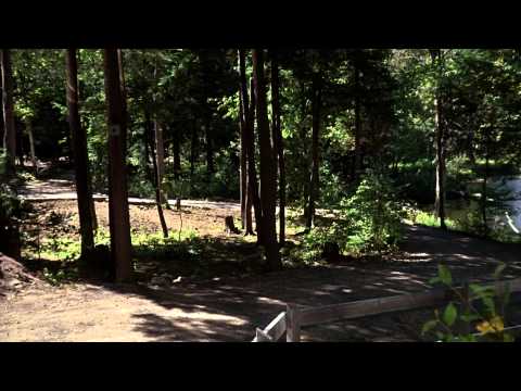 Невероятное путешествие (1963) - Трейлер