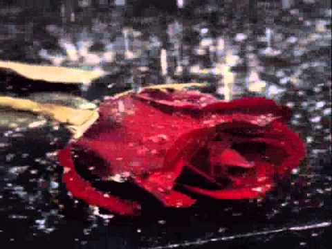 Fr mich Solls Rote Rosen Regnen covered by 18angel...