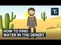 How To Find Water If You're Ever Stuck In A Desert