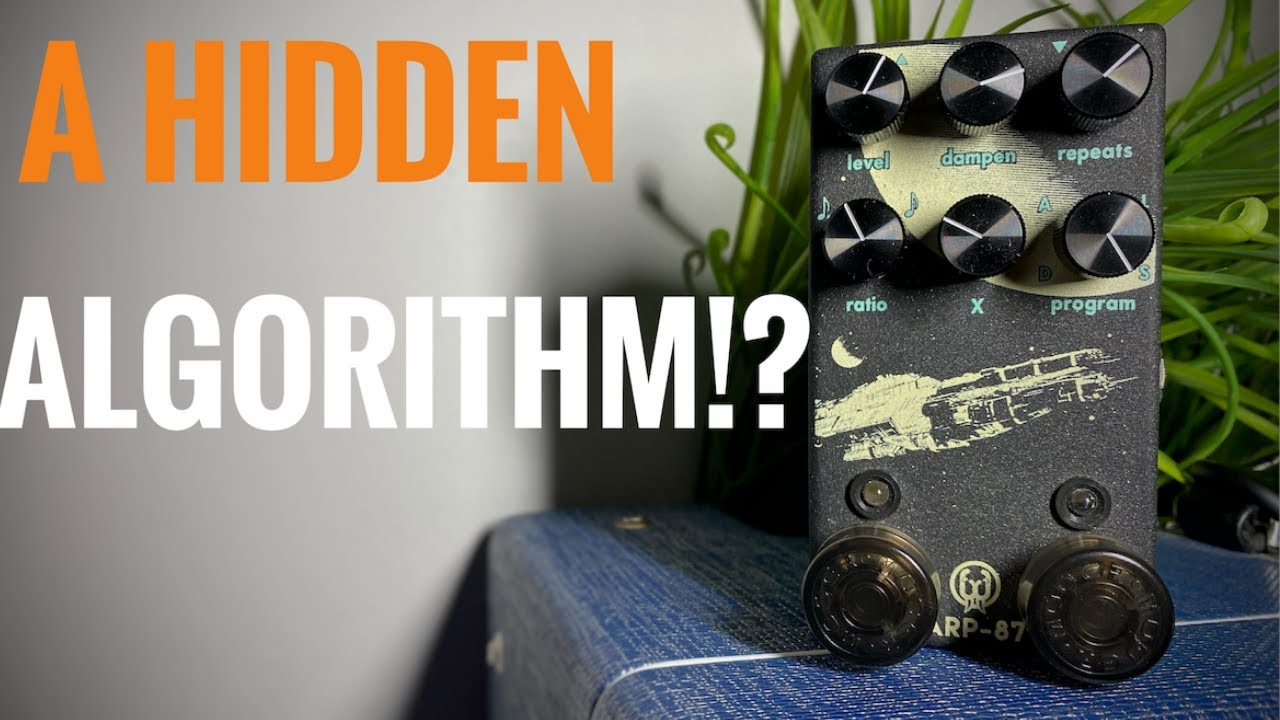 Walrus Audio ARP-87 Multi Function Delay - Full Demo and Review