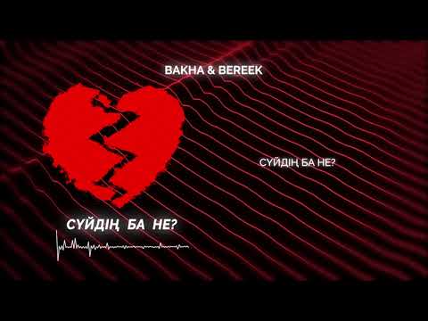 Bakha & Bereek — Сүйдің ба не? (Lyric Audio)
