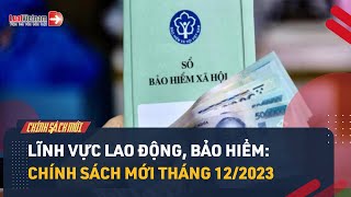 Chính Sách Mới Về Lao Động, Bảo Hiểm Có Hiệu Lực Tháng 12\/2023 | LuatVietnam