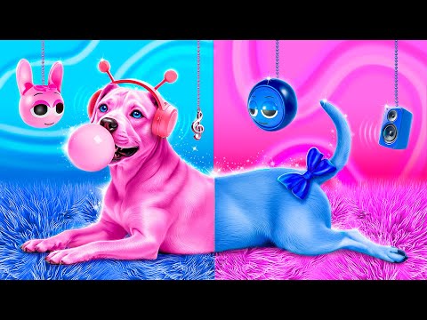 أنقذنا كلب بنينا غرفة سرية للحيوانات الأليفة الأزرق مقابل البينك