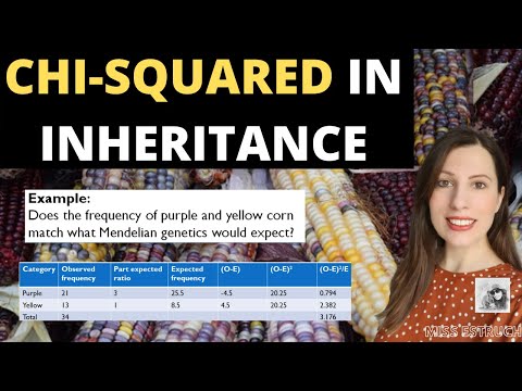 Chi squared in inheritance: Using chi-squared to prove Mendelian genetics.