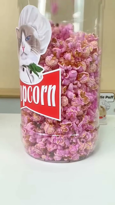 #2023 #viral #cat #shortsvideo #moments #zaynaislamtultuli #catlover #shorts #thatlittlepuff