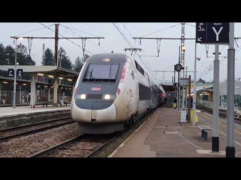 Video: Perbedaan Antara Eurostar Dan TGV