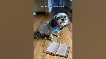 The Enemy Thought They Had Me😈 But Jesus Said You Are Mine 😇😂😂