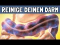 Unglaubliche Tipps für eine natürliche Darmreinigung