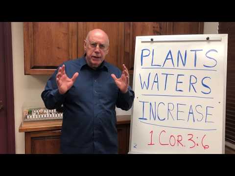 Some plant, some water, but God gives the increase: Evangelism lesson 17