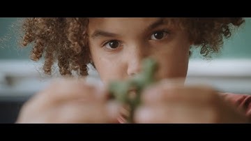 DillanPonders - JUNGLE Ft. Ruby Waters (Official Video)