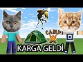 Minecraftta Kamp Kurduk - Karga Geldi / Konuşan Kediler