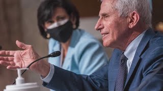 Fauci to step down after decades as top US infection expert