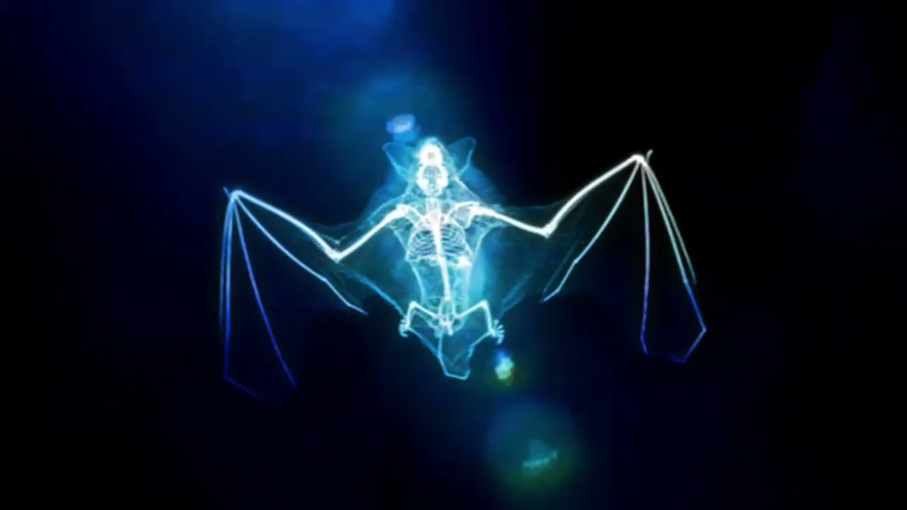 Watch VAMP (VISUALIZER) on YouTube Watch VAMP (VISUALIZER) on YouTube