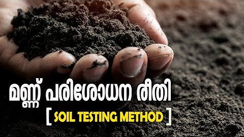 മണ്ണ് പരിശോധന രീതി | SOIL TESTING METHOD | മണ്ണ് ശരിയായ രീതിയിൽ എങ്ങനെ പരിശോധിക്കാം | PLT /AG