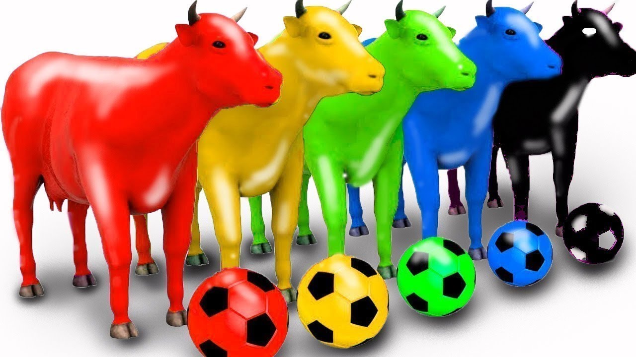 البث المباشر من العتبة الحسينية المقدسة | 13 رجب | كربلاء المقدسة الان Karbala Live