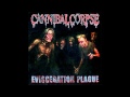 Cannibal Corpse - To Decompose
