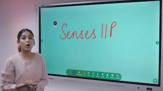 Senses intelligent interactive panel for college –2022 Demo