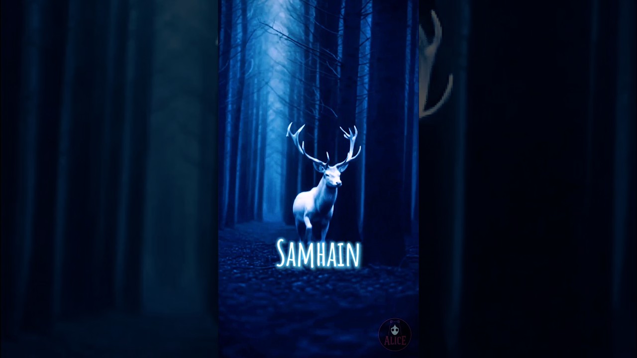 SAMHAIN 2025 #witchcraft #samhain #magic #halloween