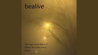 ... where the trees once stood