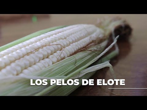 Los Remedios Caseros con Martín Vera; Los pelos de elote - YouTube