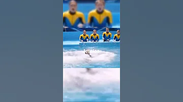 Jessica جيسيكا والحوت جيسيكا والحوت القاتل 