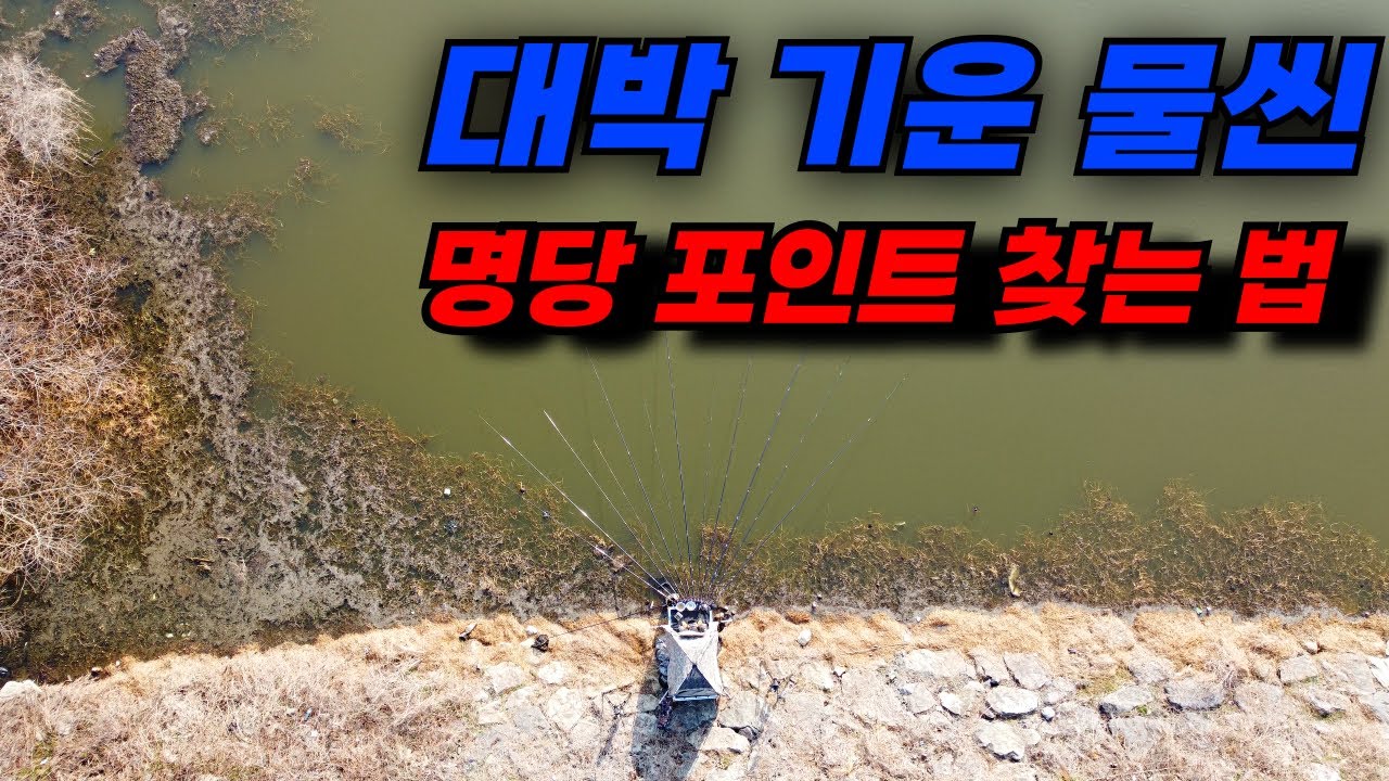 알아두면 반은 먹고 들어가는 붕어낚시 명당 포인트 선정법 / 나주 붕어낚시