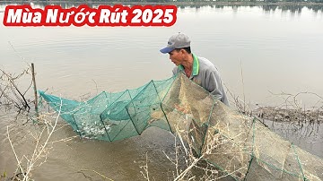 Cách Bắt Cua Cá Hiệu Quả Mùa Nước Rút Miền Tây| Bông Lúa Đồng Tháp