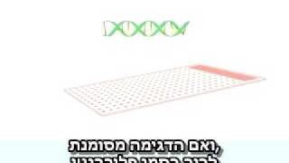 שביב / מערך דנ"א