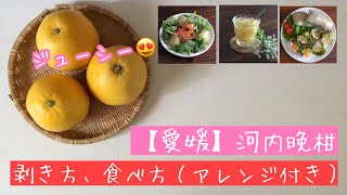 【愛媛】河内晩柑の剥き方、食べ方（アレンジ含む）