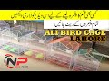 Ali Bird Cage Lahore || All kind of cage available in shop || ہول سیل ریٹ پر حاصل کریں