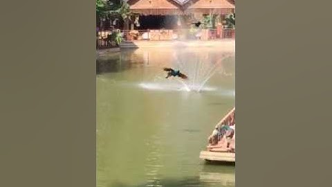 World best video........ Nitesh Choudhary