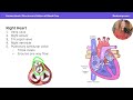 The human heart  structures and circulation  dat bootcamp