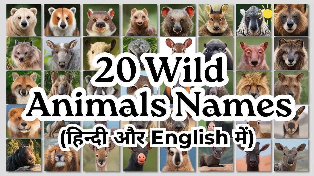 Learn Wild Animals Names in Hindi and English | Bilingual Kids Rhyme ...